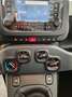 Fiat Panda Pandina 1.0 firefly hybrid Icon s Wit - thumbnail 16