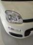 Fiat Panda Pandina 1.0 firefly hybrid Icon s Bianco - thumbnail 9