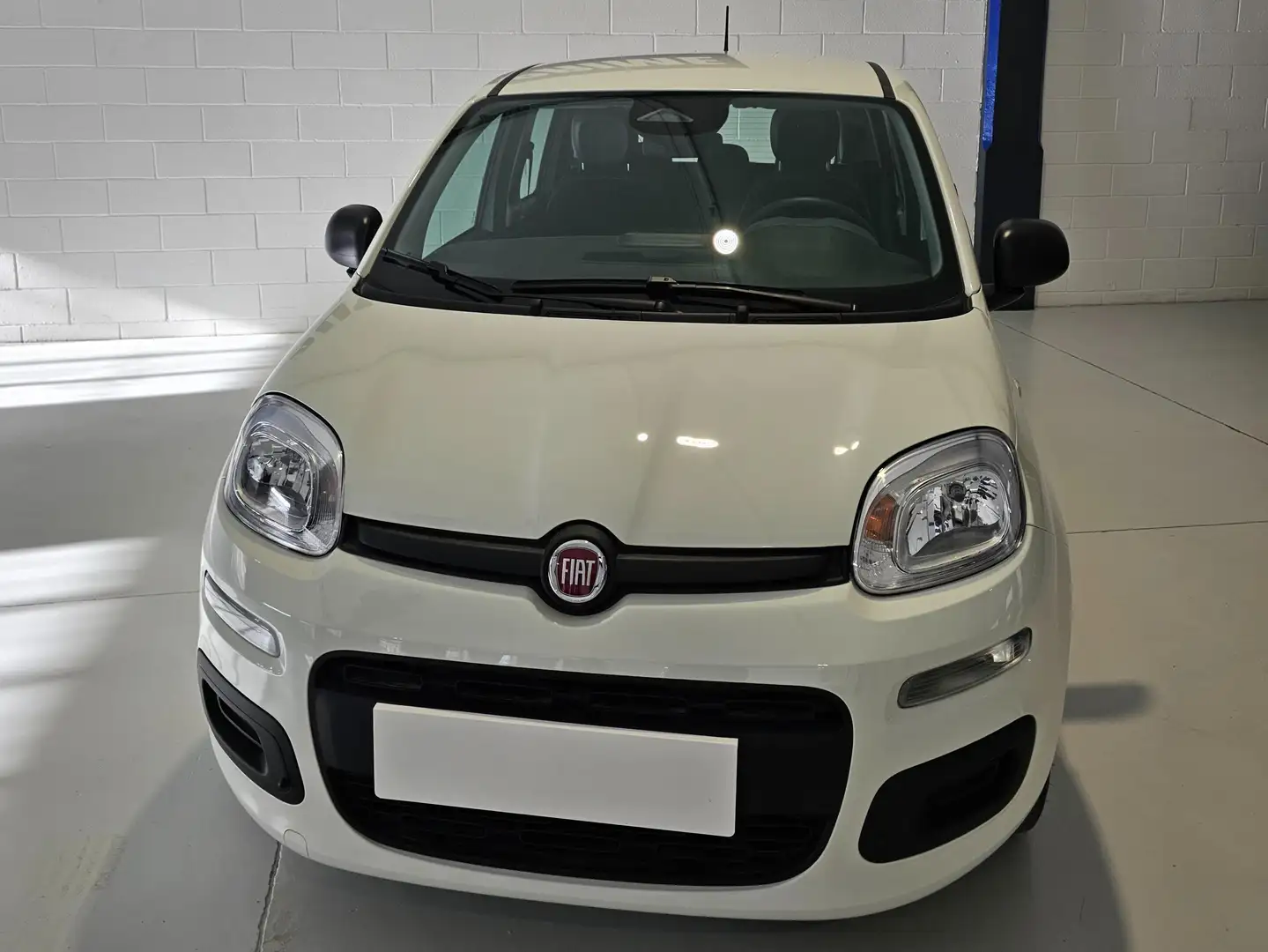 Fiat Panda Pandina 1.0 firefly hybrid Icon s Bianco - 2