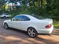 Mercedes-Benz CLK 430 CLK 430 Sport Weiß - thumbnail 6