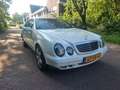 Mercedes-Benz CLK 430 CLK 430 Sport Weiß - thumbnail 3