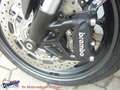 Triumph Street Triple 765 R Testsieger MattCarbon Bl Schwarz - thumbnail 12