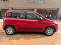 Fiat Panda Panda 1.2 Lounge Rojo - thumbnail 8