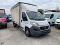 Fiat Ducato CENTINA E TELONE Bianco - thumbnail 2