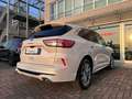 Ford Kuga 2.0D 190CV AWD VIGNALE AUTOMATICA! PELLE! FULL LED Bianco - thumbnail 4