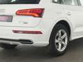 Audi Q5 50 e Quattro Navigation|PDC|Sitzheizung|Tempo Weiß - thumbnail 12