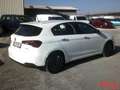 Fiat Tipo NUOVO MODELLO UNIPROPRIETARIO! Bianco - thumbnail 3