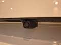 Ford Puma 1.0 EcoBoost MHEV ST-Line X 125 Blanco - thumbnail 27