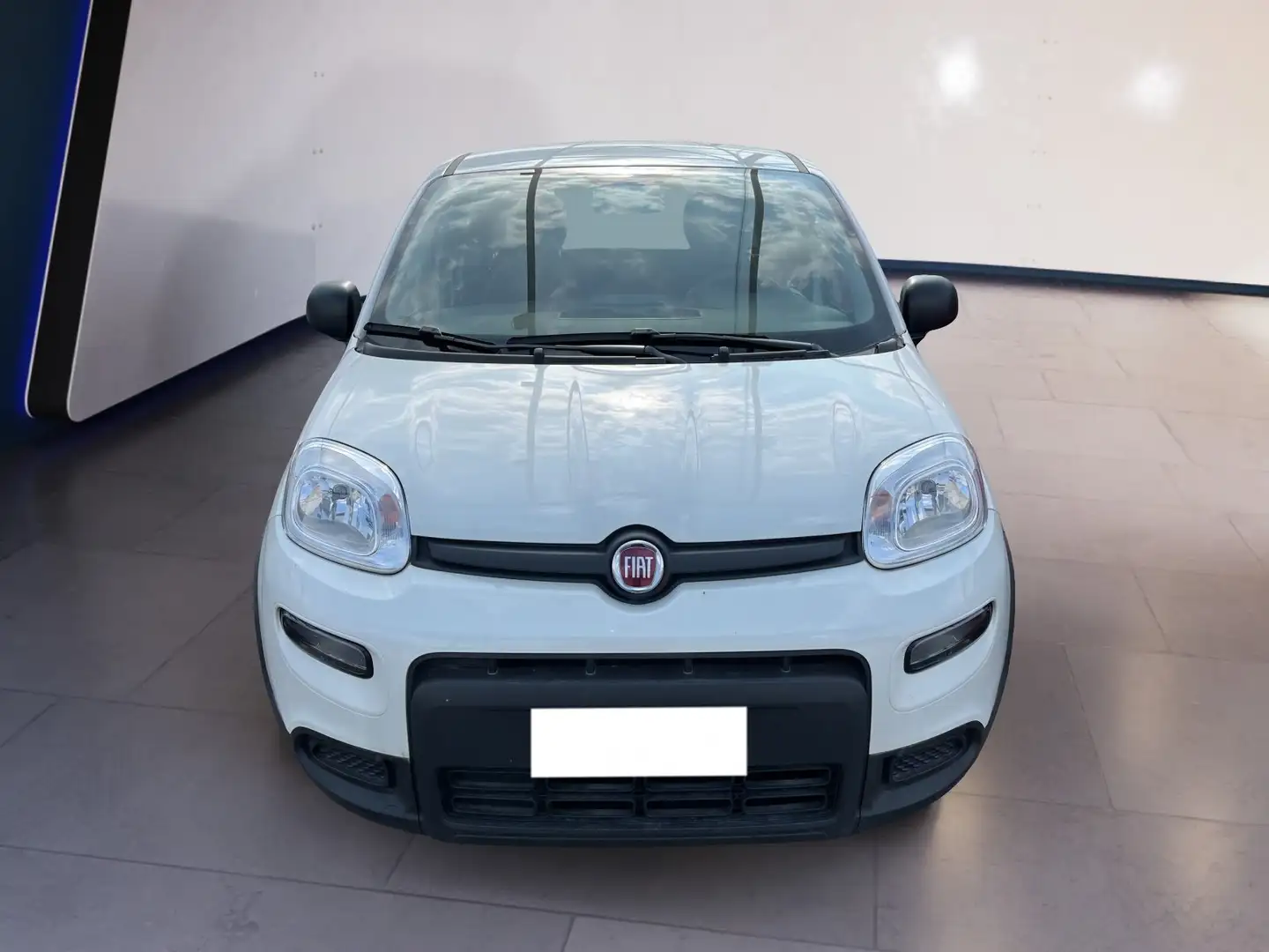 Fiat Panda My23 1.0 70cv Hybrid Panda Bianco - 1