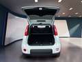 Fiat Panda My23 1.0 70cv Hybrid Panda Bianco - thumbnail 7
