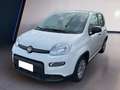 Fiat Panda My23 1.0 70cv Hybrid Panda Bianco - thumbnail 2