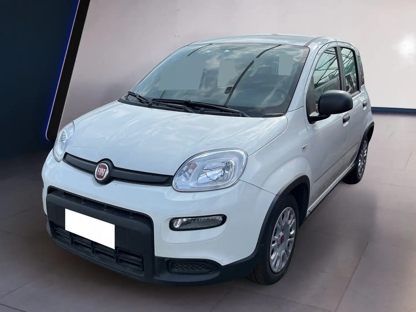 Fiat Panda My23 1.0 70cv Hybrid Panda Bianco - 2