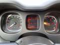 Fiat Panda My23 1.0 70cv Hybrid Panda Bianco - thumbnail 13
