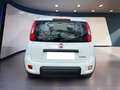 Fiat Panda My23 1.0 70cv Hybrid Panda Bianco - thumbnail 6