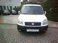 Fiat Doblo Cargo 1.3 mjet Weiß - thumbnail 2