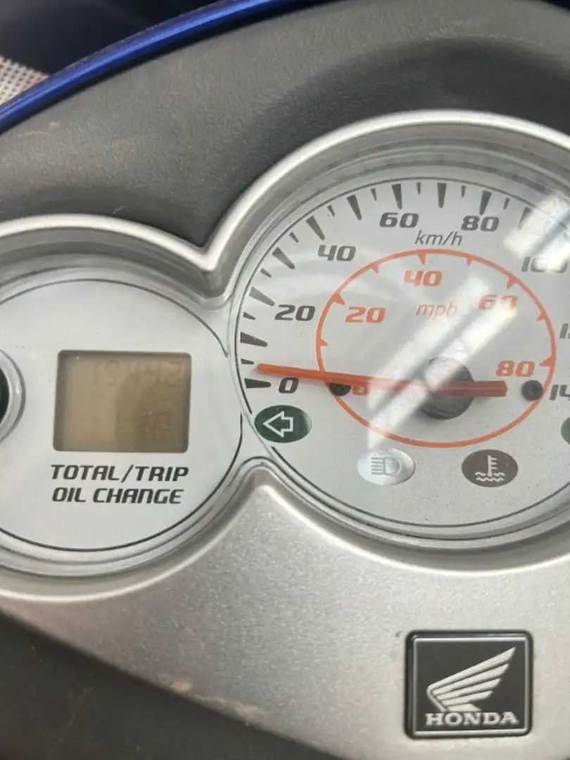 Honda Dylan 125 SES 150 Blau - 2