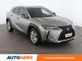 Lexus UX 250h UX 250h Business FHEV Grigio - thumbnail 8