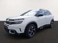 Citroen C5 Aircross PT 130 Business Shine Automatik Weiß - thumbnail 3