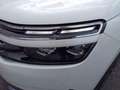 Citroen C5 Aircross PT 130 Business Shine Automatik Weiß - thumbnail 10