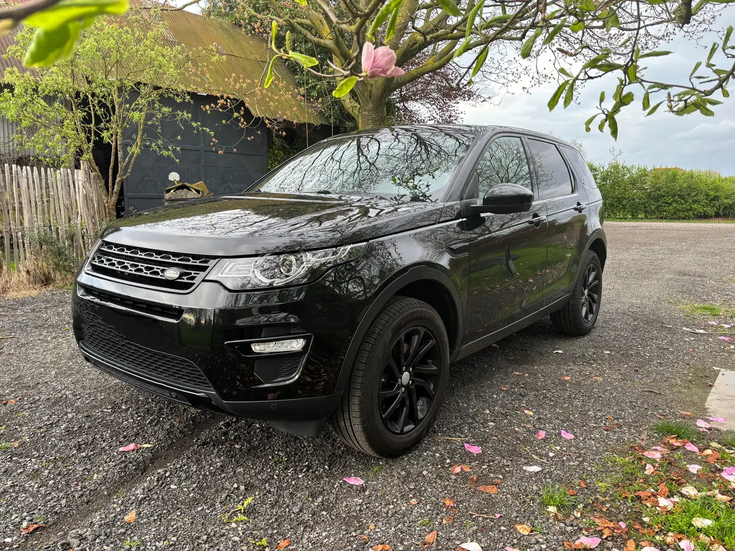 Land Rover Discovery Sport Discovery Sport TD4 Aut. SE Zwart - 1