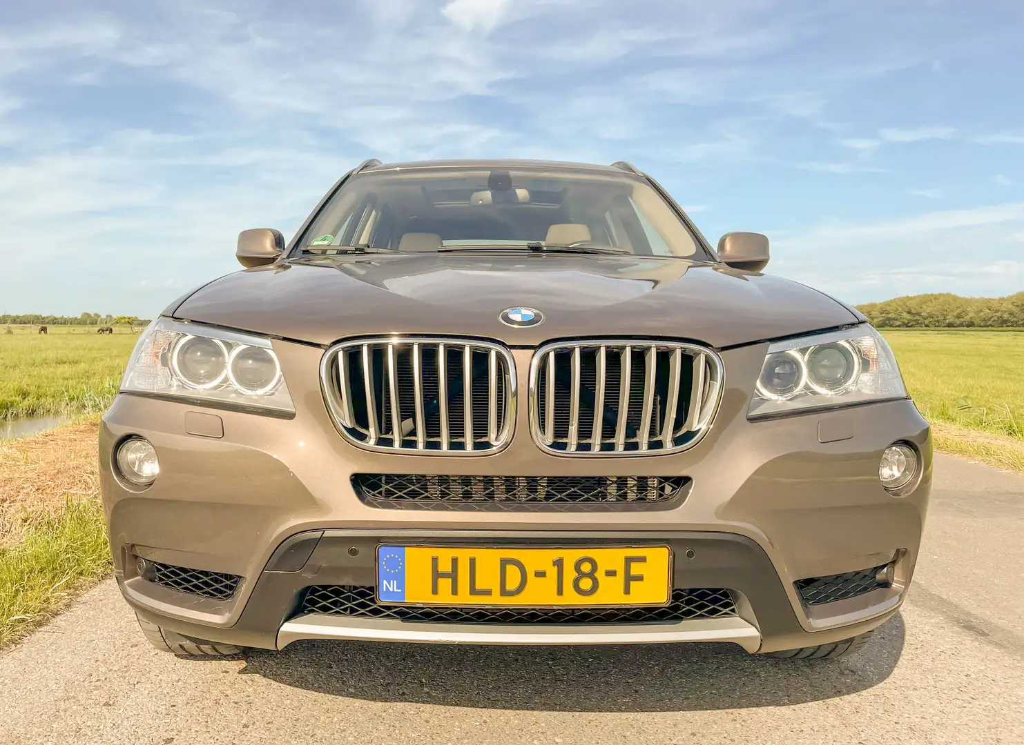 BMW X3 xDrive35i Automaat High Exec. F25 Bruin - 2