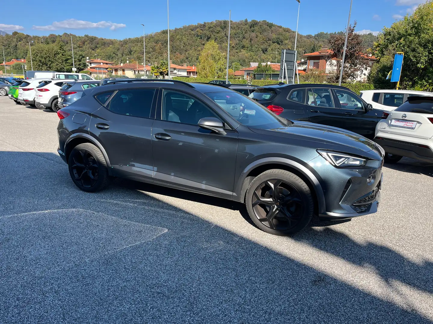 CUPRA Formentor Formentor 2.0 tdi 4drive dsg Grijs - 2
