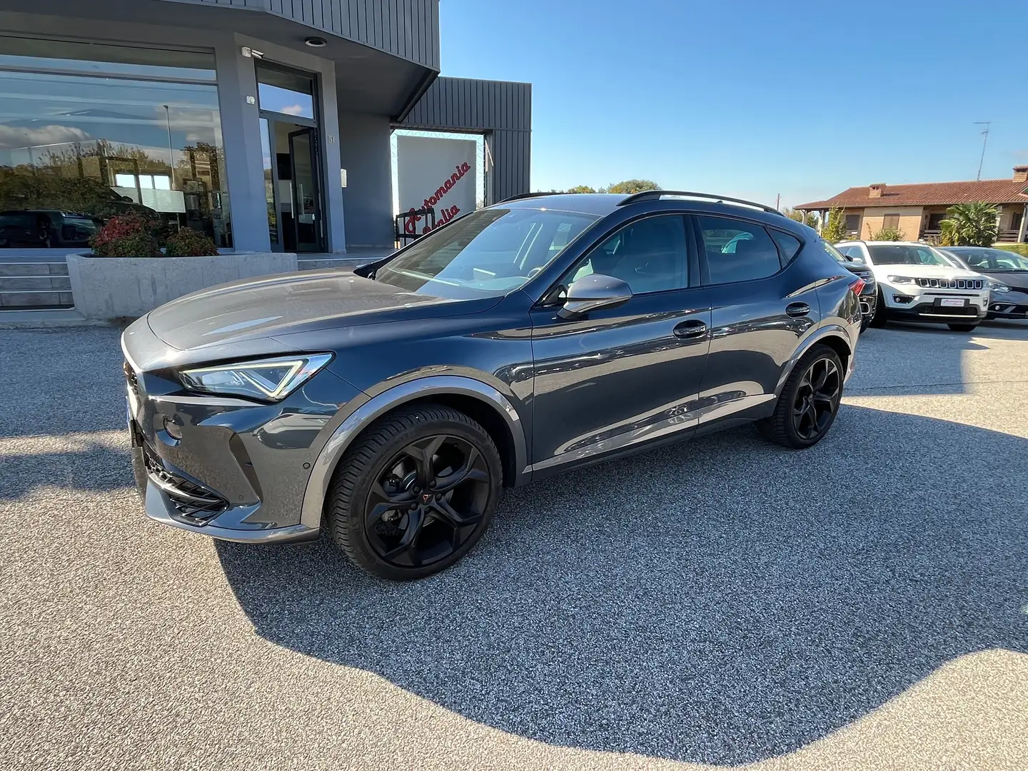 CUPRA Formentor Formentor 2.0 tdi 4drive dsg Grijs - 1