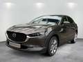 Mazda CX-30 SKYACTIV-G 2.0 150PS M Hybrid Gris - thumbnail 1