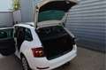 Skoda Fabia Combi 1.0 TSI Ambition O.a: Navi, Cruise, Carply, Wit - thumbnail 22
