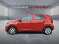 Kia Picanto Picanto 1.0 dpi Urban Gpl Bronzo - thumbnail 2