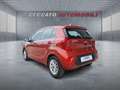 Kia Picanto Picanto 1.0 dpi Urban Gpl Bronzo - thumbnail 3
