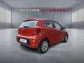 Kia Picanto Picanto 1.0 dpi Urban Gpl Bronzo - thumbnail 17