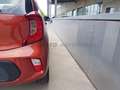 Kia Picanto Picanto 1.0 dpi Urban Gpl Bronzo - thumbnail 19