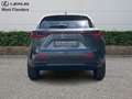 Lexus NX 450h+ Executive Line+360°cam+navi+se Grijs - thumbnail 6