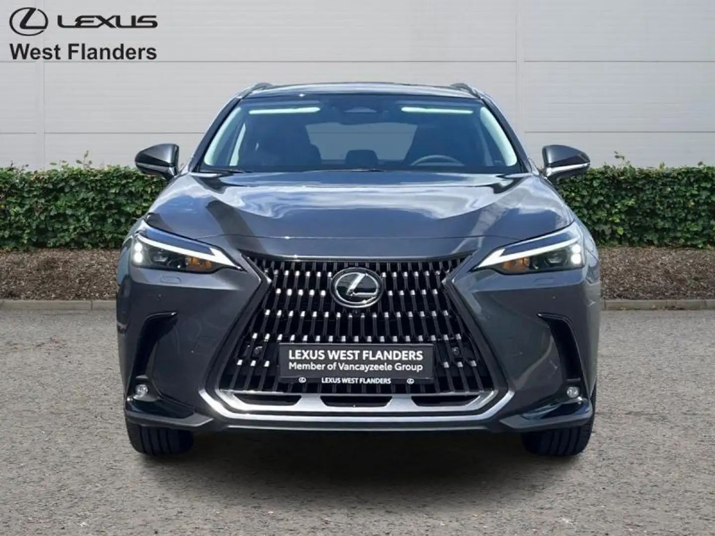 Lexus NX 450h+ Executive Line+360°cam+navi+se Grijs - 2