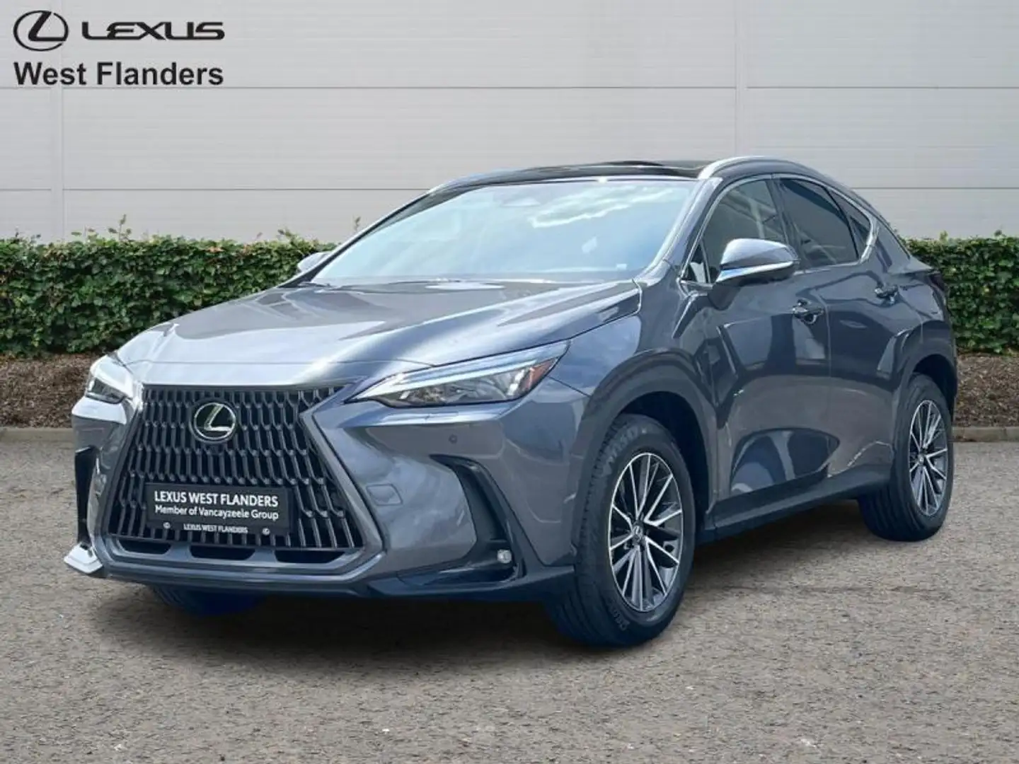 Lexus NX 450h+ Executive Line+360°cam+navi+se Grijs - 1