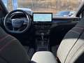 Ford Focus ST-Line #RFK #Ergositze Grigio - thumbnail 13