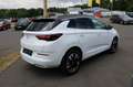 Opel Grandland X Elegance,360°Kamera,Alcantara Weiß - thumbnail 3