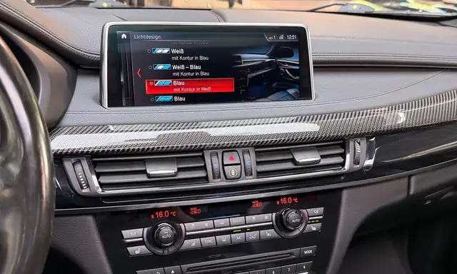 BMW X6 view 19