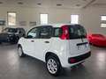 Fiat Panda 0.9 T.air. Natural Power Easy 80cv Wit - thumbnail 3