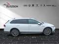 Volkswagen Golf VIII Variant TDI Alltrack 4Mo DSG Navi Matrix D... Weiß - thumbnail 8
