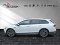 Volkswagen Golf VIII Variant TDI Alltrack 4Mo DSG Navi Matrix D... Weiß - thumbnail 4