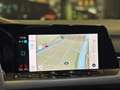 Volkswagen Golf 2.0 TDI 3X R-Line|PANO|BOMVOL! Gris - thumbnail 19