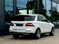 Mercedes-Benz ML 250 BlueTEC 4MATIC 7G-TRONIC - thumbnail 4