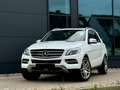 Mercedes-Benz ML 250 BlueTEC 4MATIC 7G-TRONIC - thumbnail 1