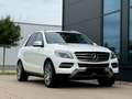 Mercedes-Benz ML 250 BlueTEC 4MATIC 7G-TRONIC - thumbnail 2