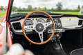 Triumph TR4 IRS Rouge - thumbnail 14