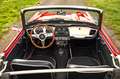 Triumph TR4 IRS Rouge - thumbnail 3