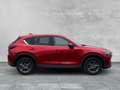Mazda CX-5 2.0 EXCLUSIVE-LINE 2WD Exclusive-Line AHK+NAVI+KAM Rouge - thumbnail 6