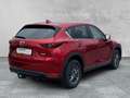 Mazda CX-5 2.0 EXCLUSIVE-LINE 2WD Exclusive-Line AHK+NAVI+KAM Rouge - thumbnail 5